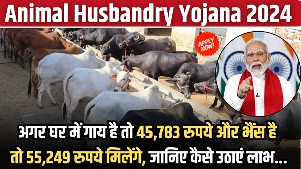 Animal Husbandry Yojana 2024