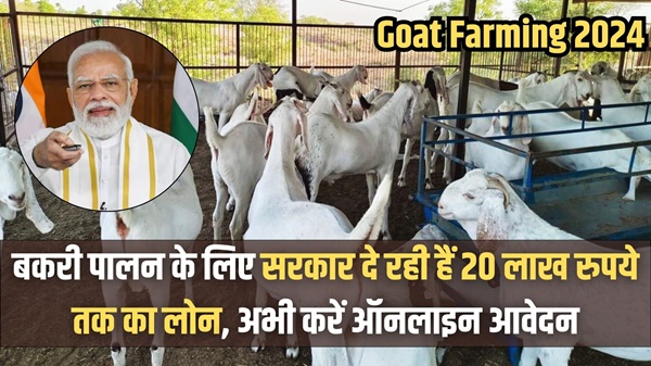 Goat Farming 2024