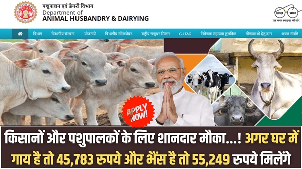 Animal Husbandry Scheme 2024