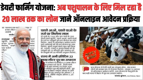 Dairy Farming News 2024