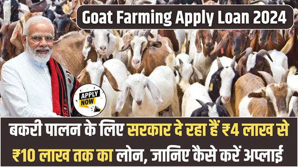 Goat Farming Apply Loan