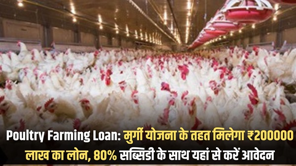 Poultry Farming Loan 2024